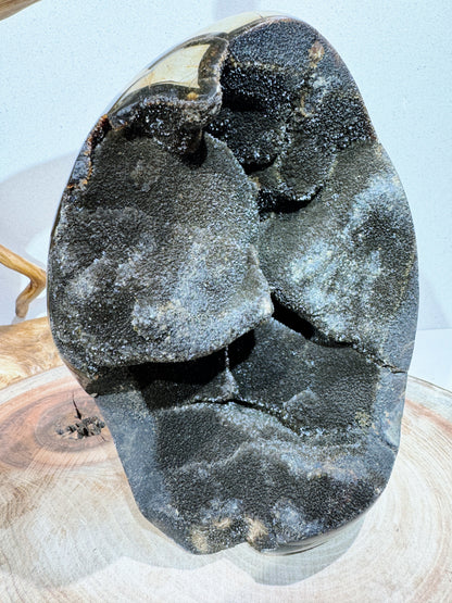 Septarium septarium egg – MMcrystal