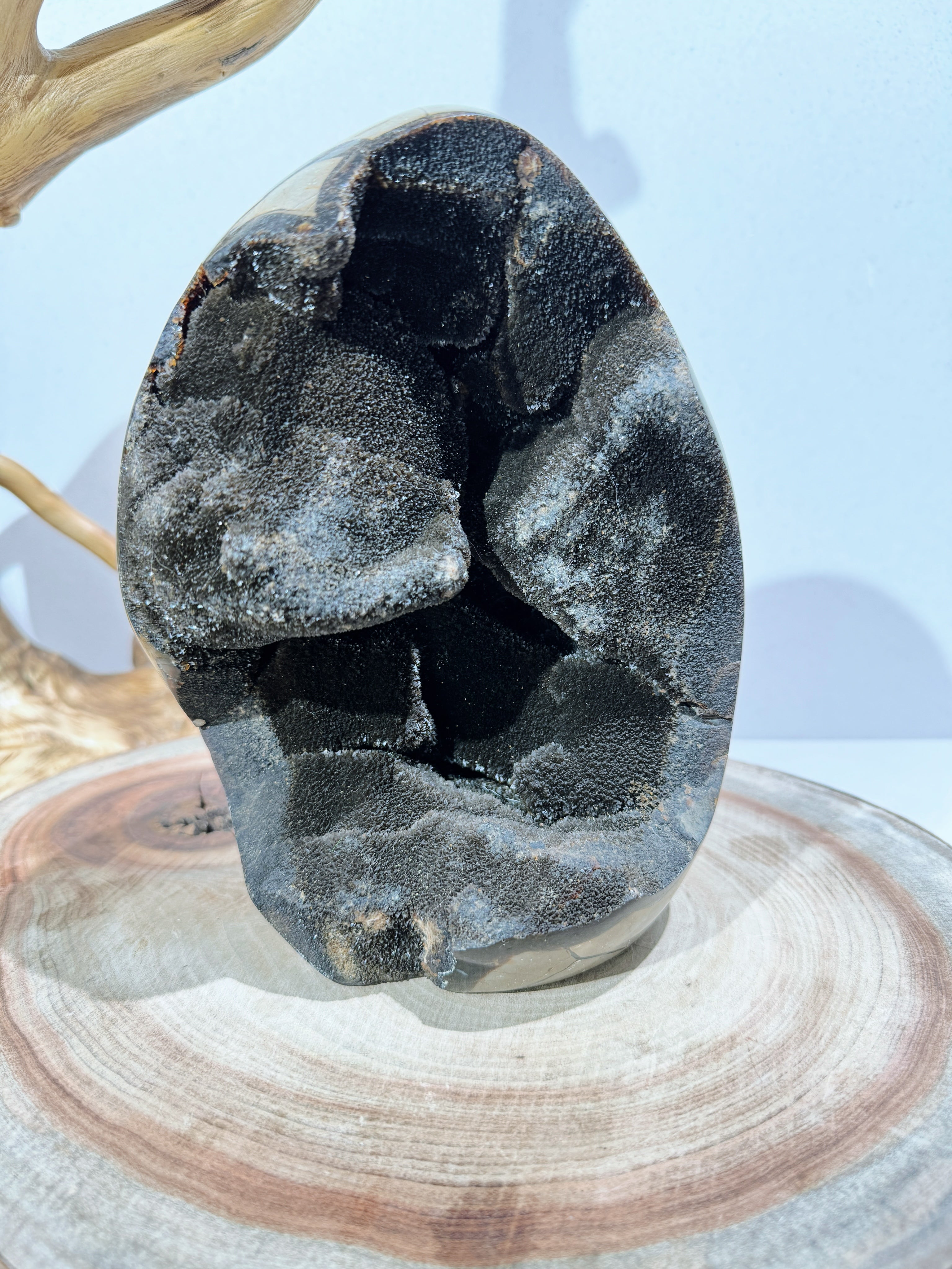 Septarium septarium egg – MMcrystal